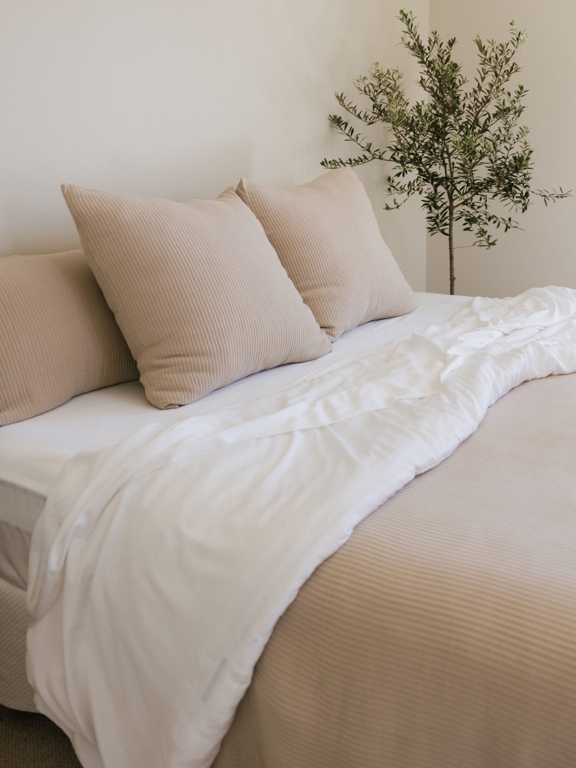Bamboo Coverlet Euro Sham - Last Chance - Image 12