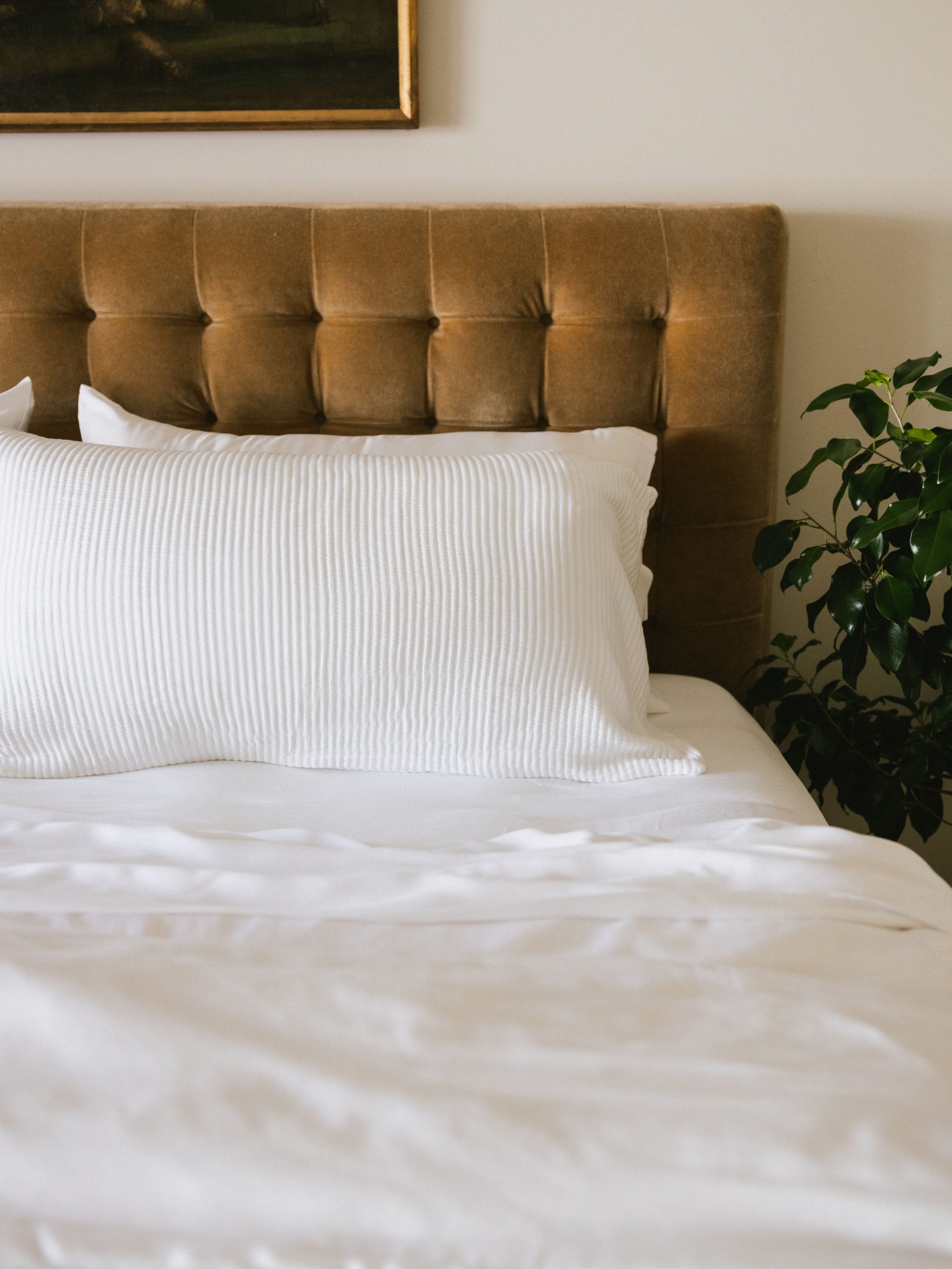 Bamboo Coverlet Shams - Image 17