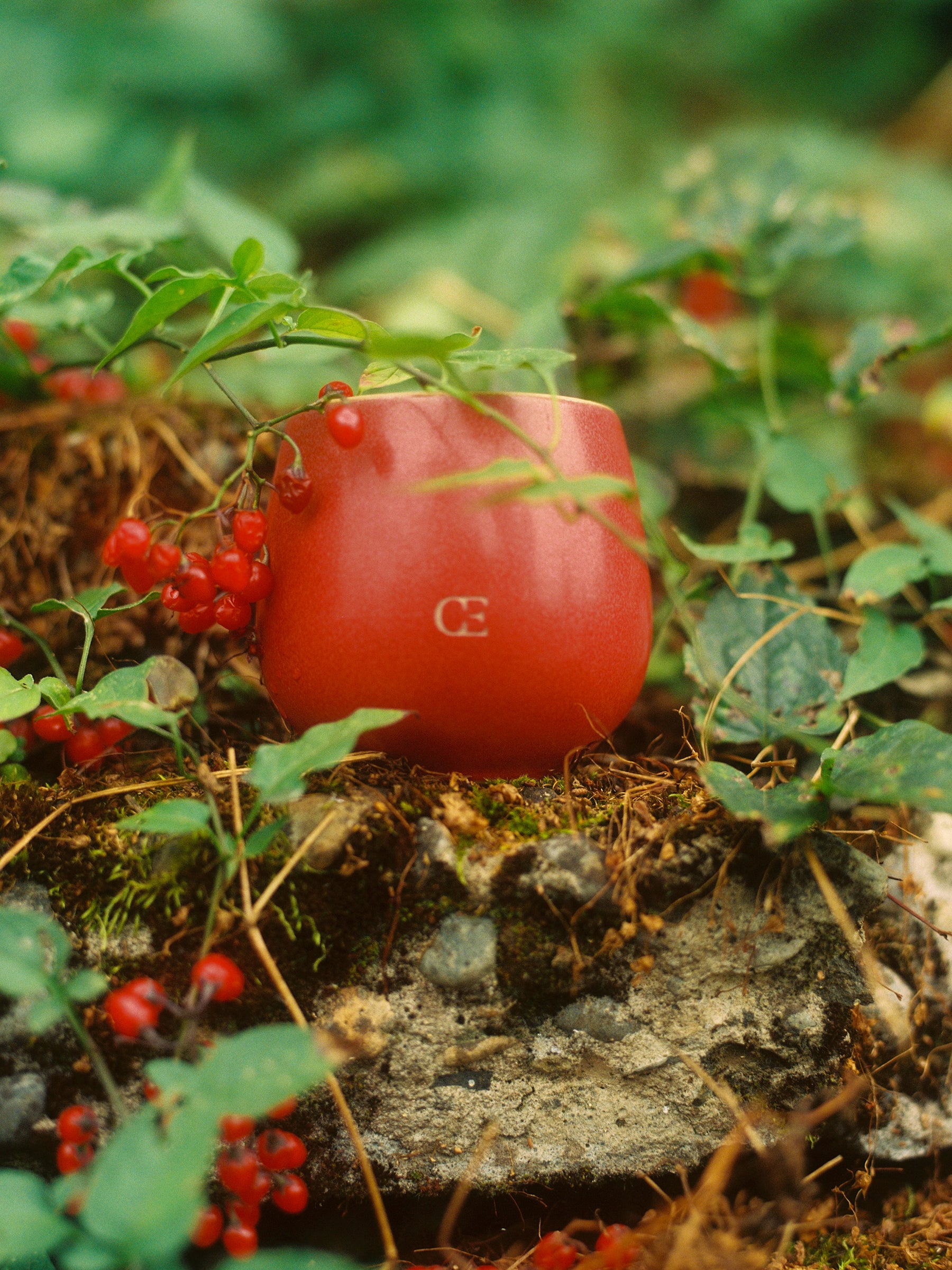 Candle GATHER - Last Chance - Image 2