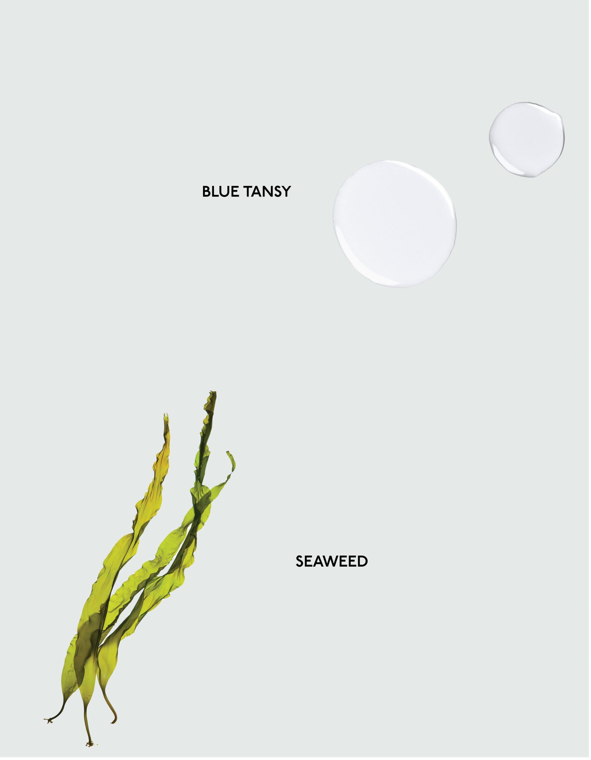 Body Oil - Image 5